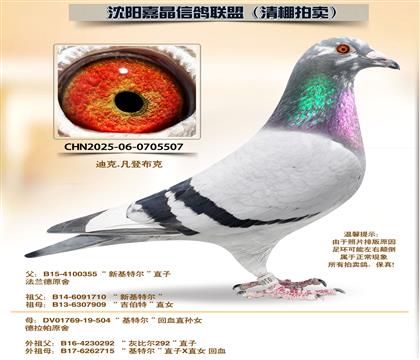 ���ǲ��ˡ����ض�����Ѫ