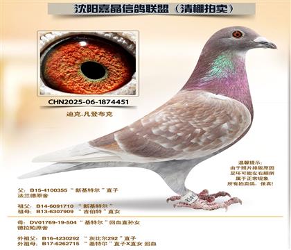 ���ǲ��ˡ����ض�����Ѫ