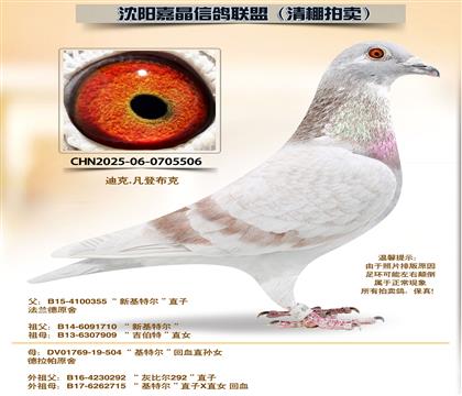 ���ǲ��ˡ����ض�����Ѫ