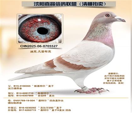 ���ǲ��ˡ����ض�����Ѫ