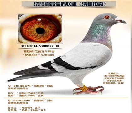 ��˹��.�����߶�ԭ��