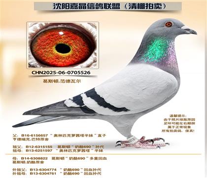 ��˹�١�����690����Ѫ