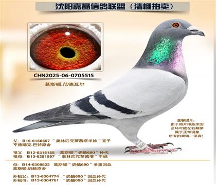 ��˹�١�����690����Ѫ