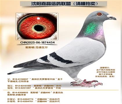 ��˹�١�����690����Ѫ