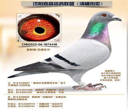 ��˹�١�����690����Ѫ