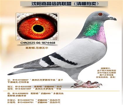 ��˹�١�����690����Ѫ