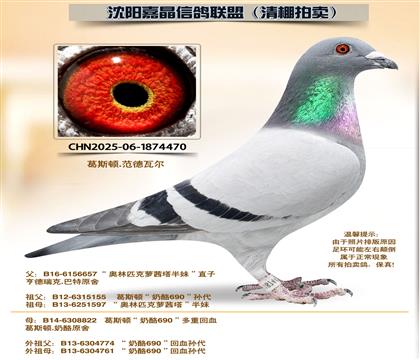 ��˹�١�����690����Ѫ