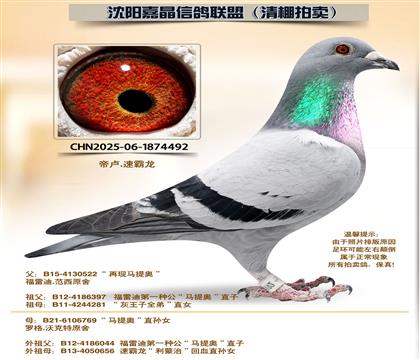 ����¡�����95����ƽ��