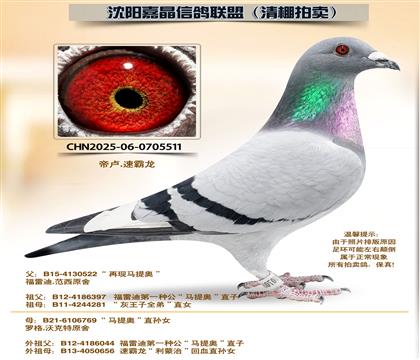 ����¡�����95����ƽ��