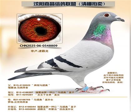 ����¡�����95����ƽ��