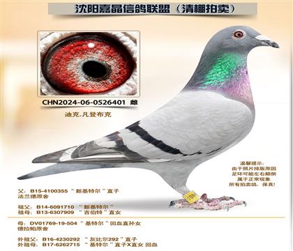 ���ǲ��ˡ����ض���������