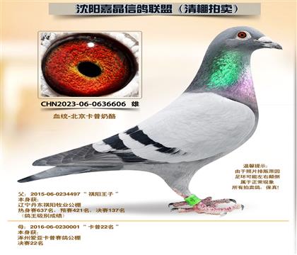 ����ϵ���ƽ�ԡ��Ӵ�