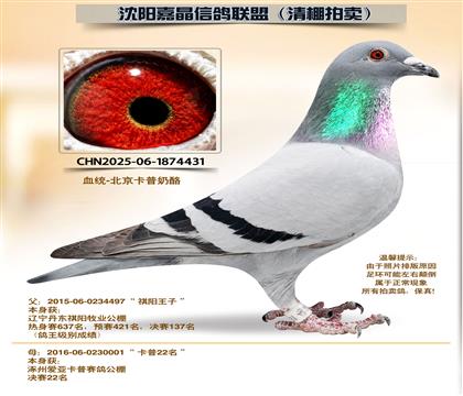 ����ϵ���ƽ�ԡ��Ӵ�