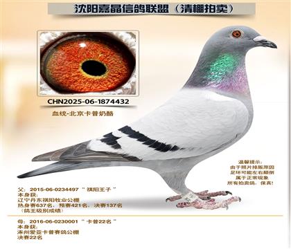 ����ϵ���ƽ�ԡ��Ӵ�