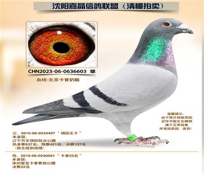 ��������ϵ���ƽ�ԡ�92����