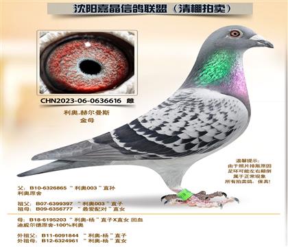 ���¡������ƽ���ԡ�92��ĸ