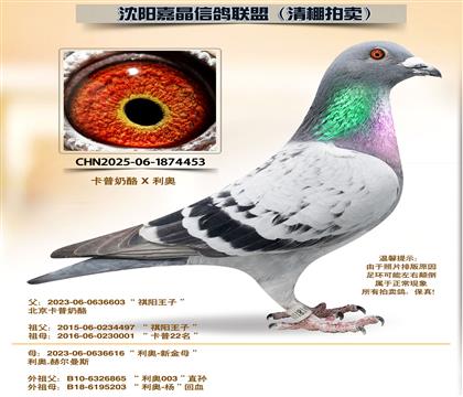 ����ϵ��92����ȫƽ��