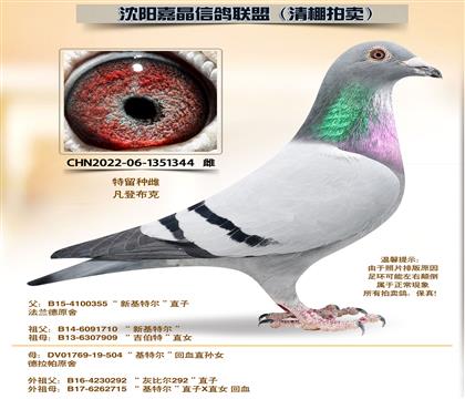 �Ͽ�.���ǲ���-��88��ĸ�ס�