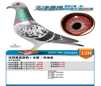 ���ǲ��ˡ�����120����