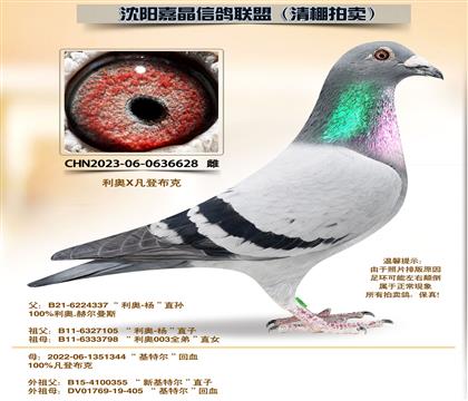 ���ǲ��ˡ�88����ȫƽ��