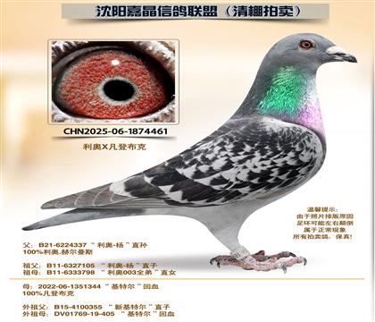 ���ǲ���-��88����ȫƽ��