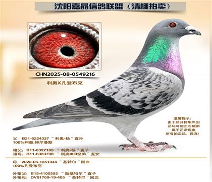 ���ǲ��ˡ�88����ȫƽ��