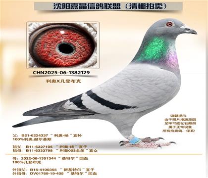 ���ǲ��ˡ�88����ȫƽ��