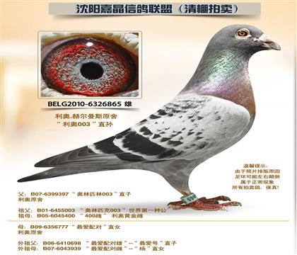 ����ԭ��-������ƽ��ֹ�