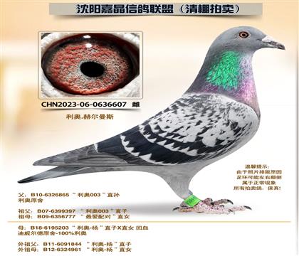 ���¡�����ƽ���ԡ��Ӵ�