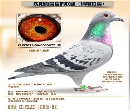 ���¡�����ƽ���ԡ��Ӵ�