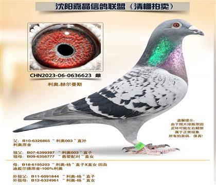 ���¡�����ƽ���ԡ��Ӵ�