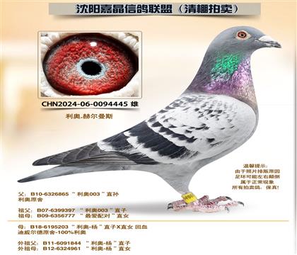 ���¡�����ƽ���ԡ��Ӵ�