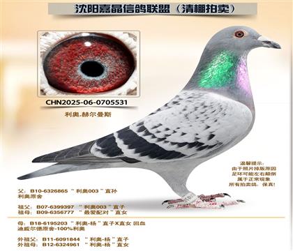 ���¡�����ƽ���ԡ��Ӵ�