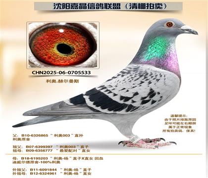 ���¡�����ƽ���ԡ��Ӵ�