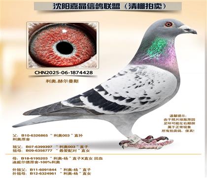 ���¡�����ƽ���ԡ��Ӵ�