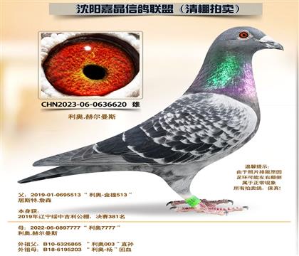 ���¡�����6����ȫƽ��