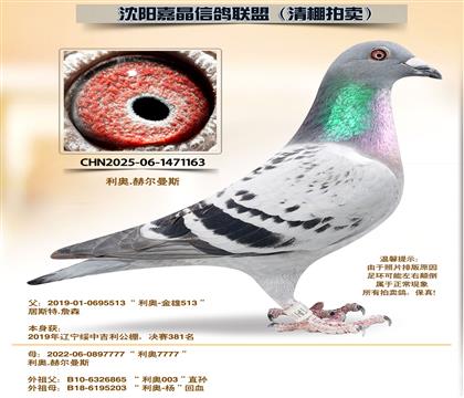 ���¡�����6����ȫƽ��