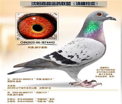 ���¡�����6����ȫƽ��