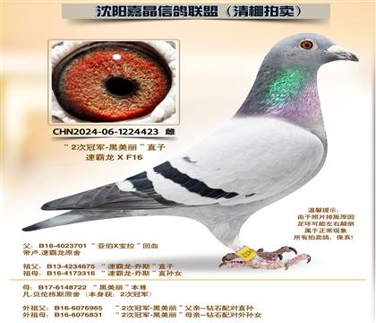 �ڰ���������21����ƽ��