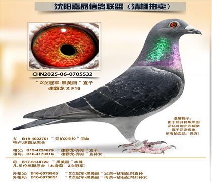 �ڰ���������21����ƽ��