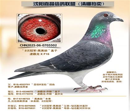 �ڰ���������21����ƽ��