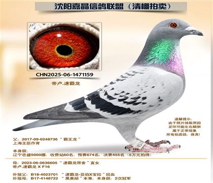 �ٰ�����262����ȫƽ��