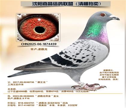 �ٰ�����262����ȫƽ��