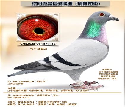 �ٰ�����262����ȫƽ��