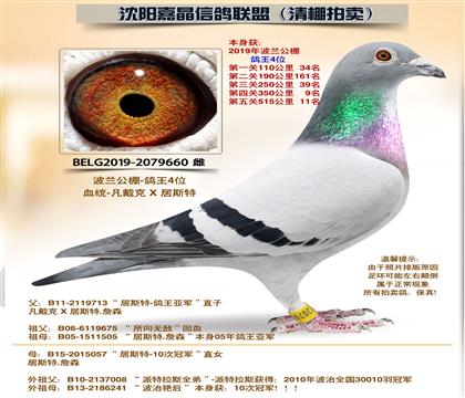 ��ĸ����������-����4λ��