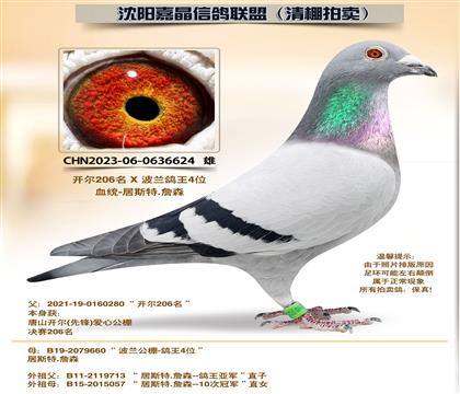 ������ԡ�Դ������4��ȫƽ��