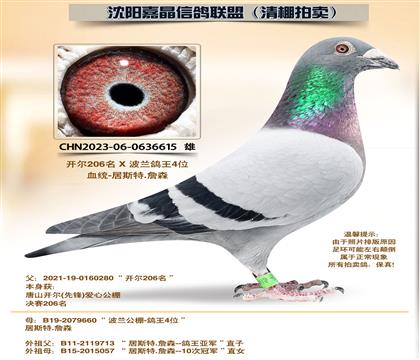 ������ԡ�Դ������4��ȫƽ��