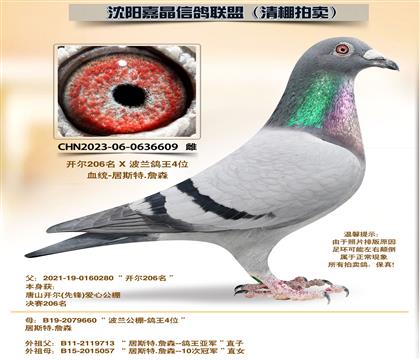 ������ԡ�Դ������4��ȫƽ��