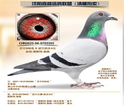 ������ԡ�Դ������4��ȫƽ��