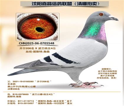 ������ԡ�Դ������4��ȫƽ��